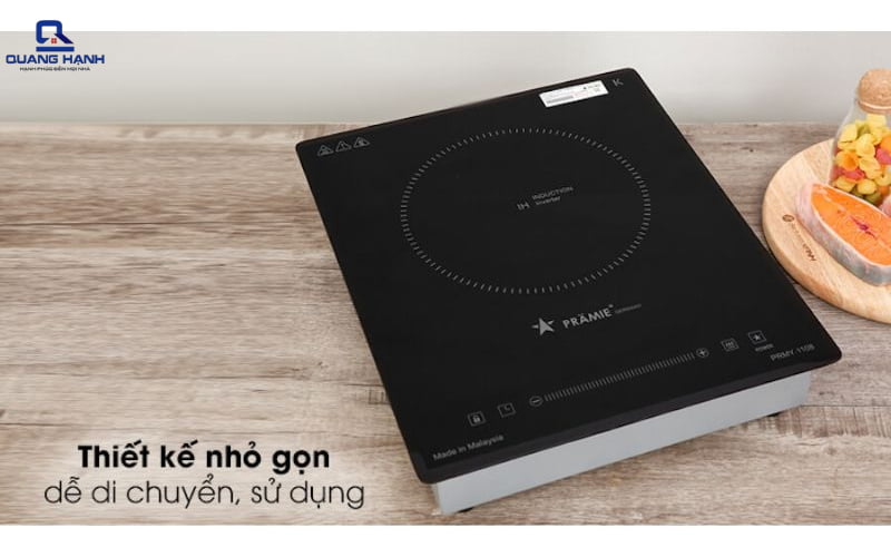 Bếp từ mini 2