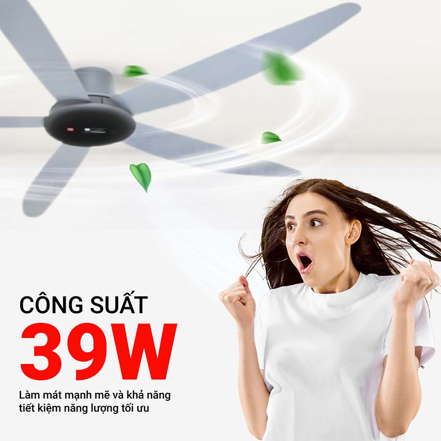 Quạt trần KDK T60AW 5 cánh