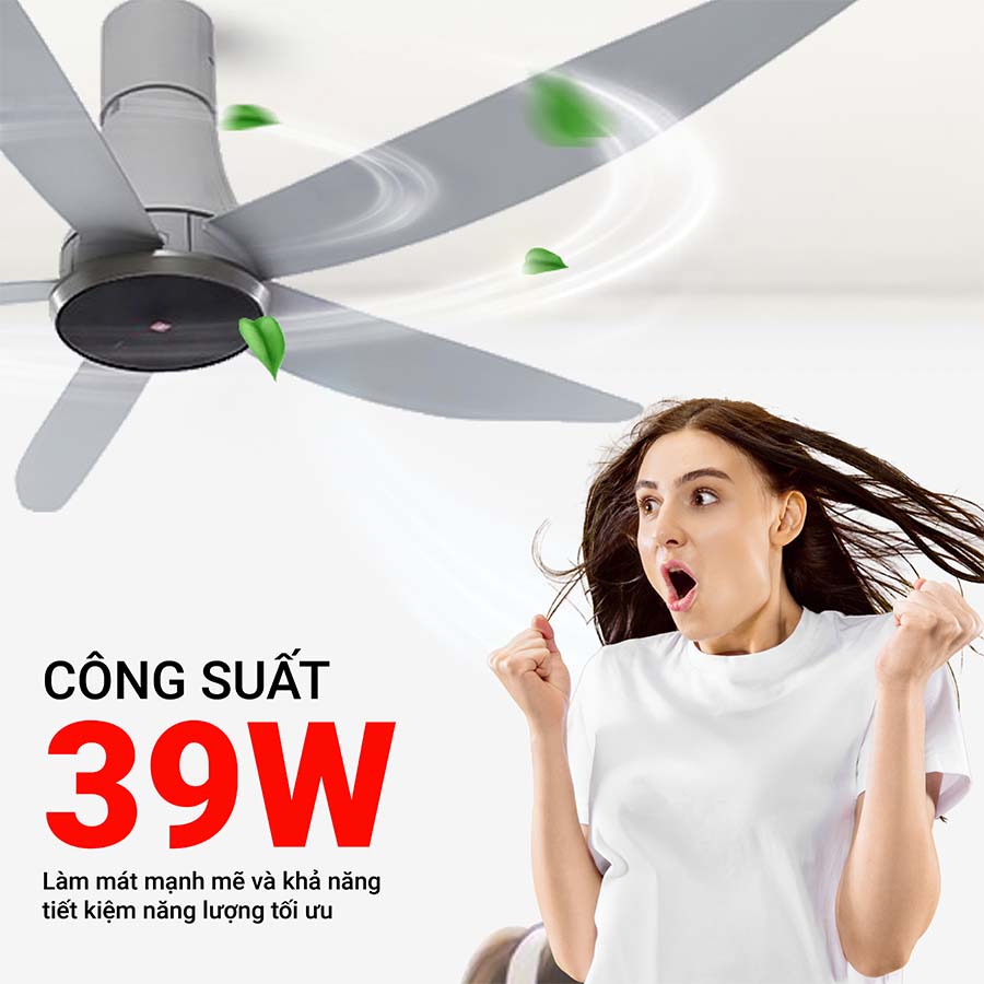 Quạt trần 5 cánh KDK T60DW