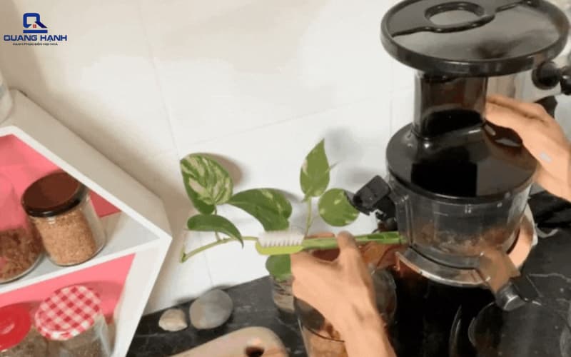 Máy ép chậm bị kẹt