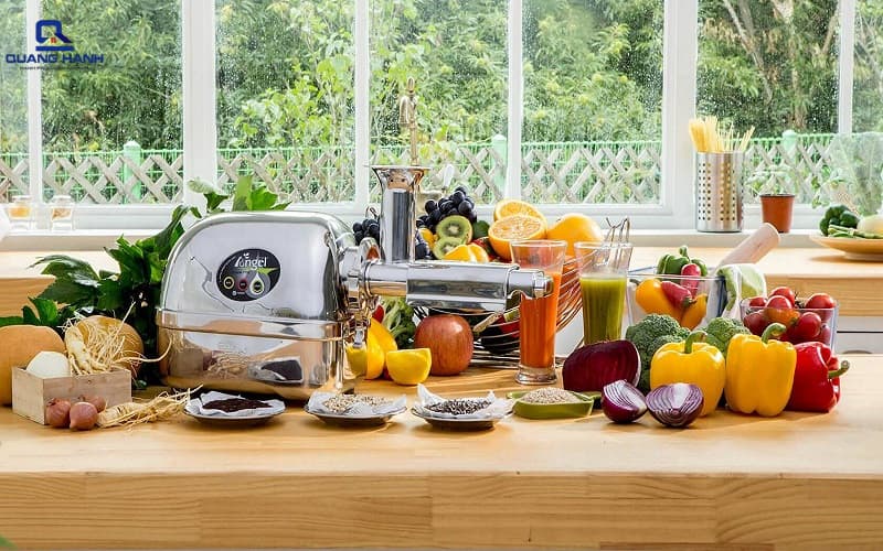 Máy ép chậm công nghiệp 1