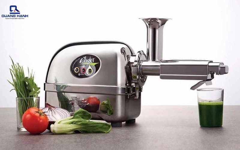 Máy ép chậm công nghiệp 2