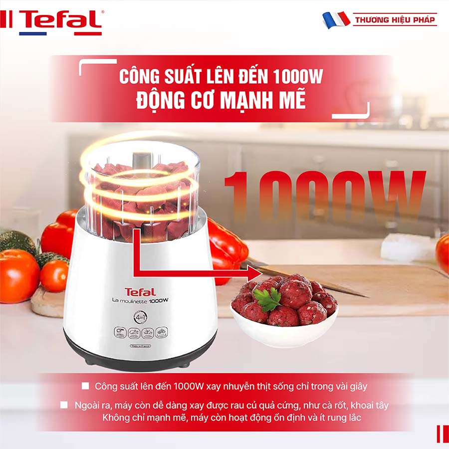 Máy xay thịt Tefal DPA130