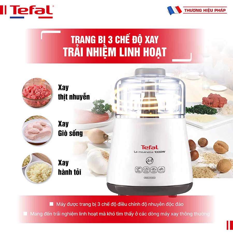 Máy xay thịt Tefal DPA130