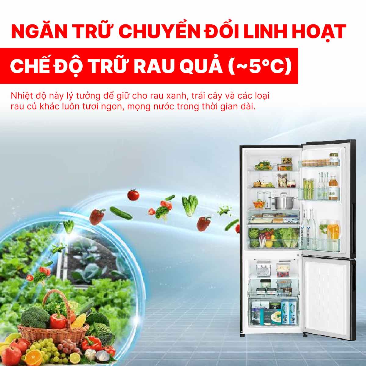 Tủ lạnh Hitachi Inverter 275 lít R-B330PGV8 BSL