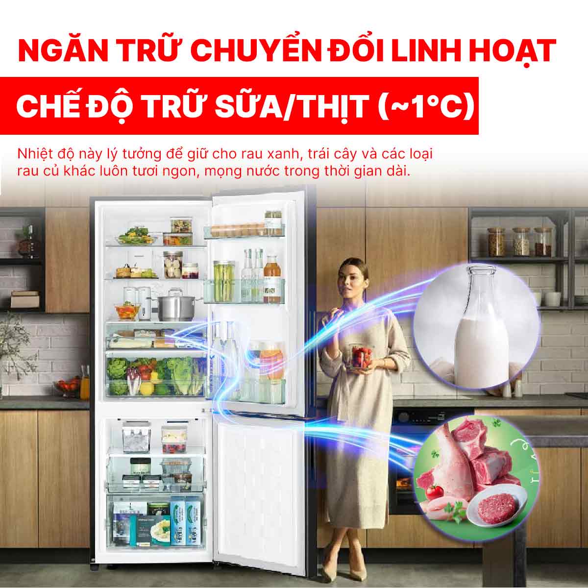 Tủ lạnh Hitachi Inverter 275 lít R-B330PGV8 BSL