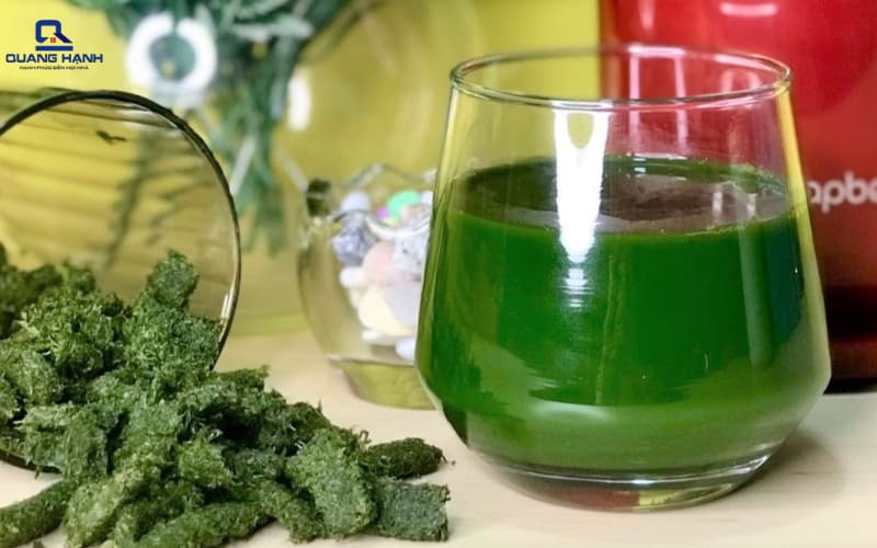 Máy ép chậm ép rau má