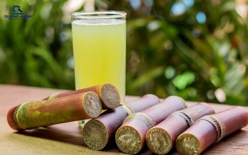 Máy ép chậm ép nước mía