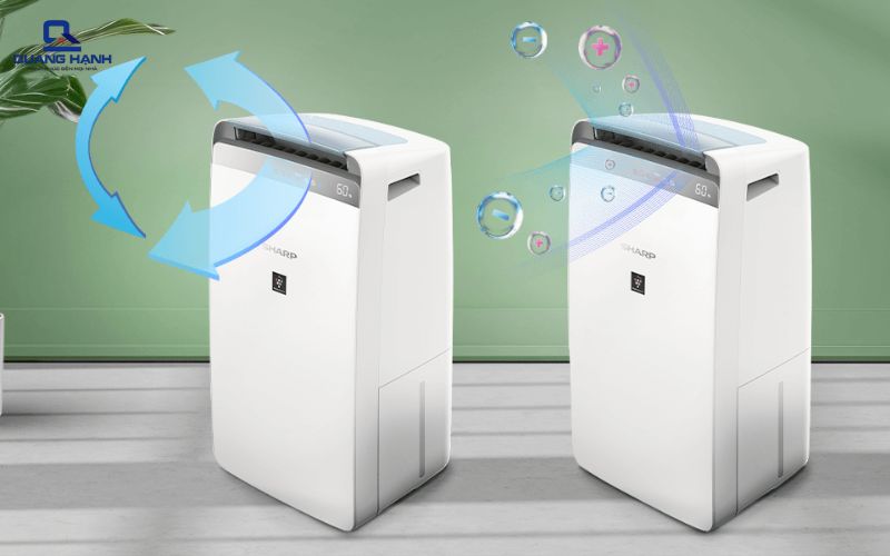 có nên sử dụng máy hút ẩm