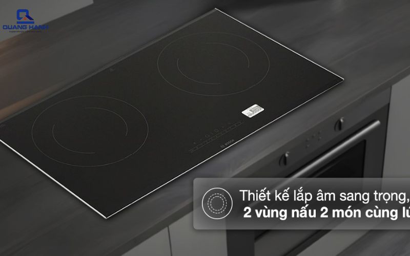 các loại bếp từ đôi 1