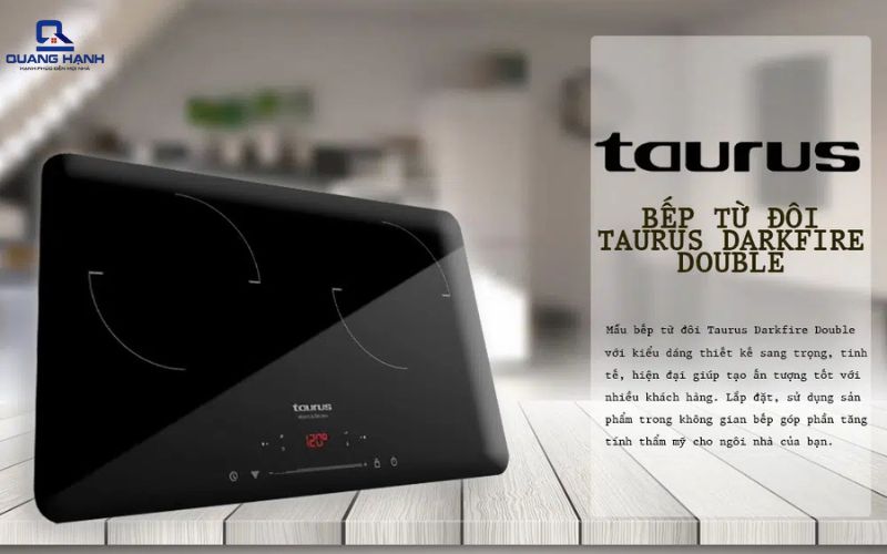 các loại bếp từ đôi 1