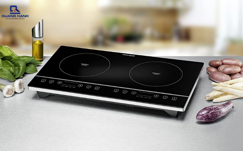 các loại bếp từ đôi 1