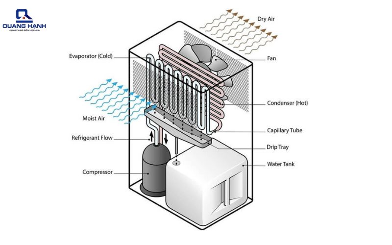 cấu tạo máy hút ẩm