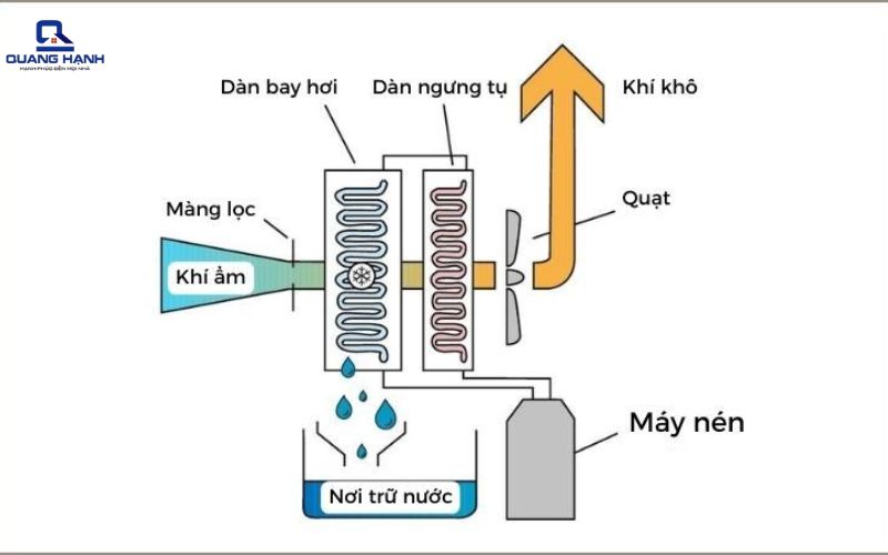 máy hút ẩm