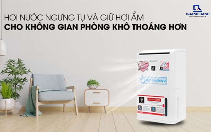 Có nên mua máy hút ẩm