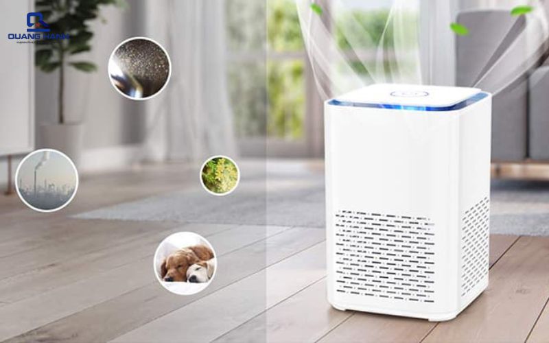 Có nên mua máy hút ẩm