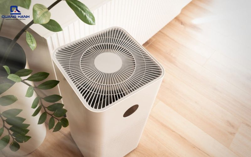 có nên sử dụng máy hút ẩm