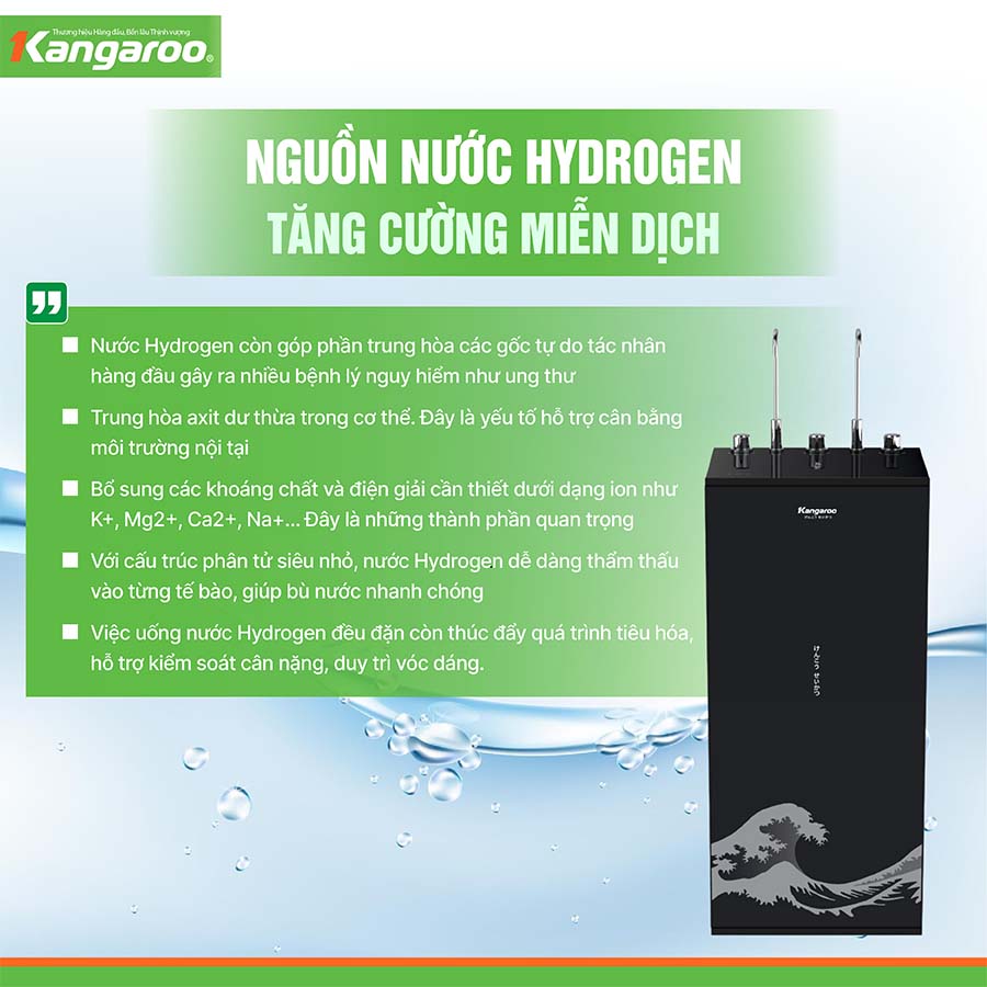 Máy lọc nước nóng lạnh Kangaroo Hydrogen KG10A12