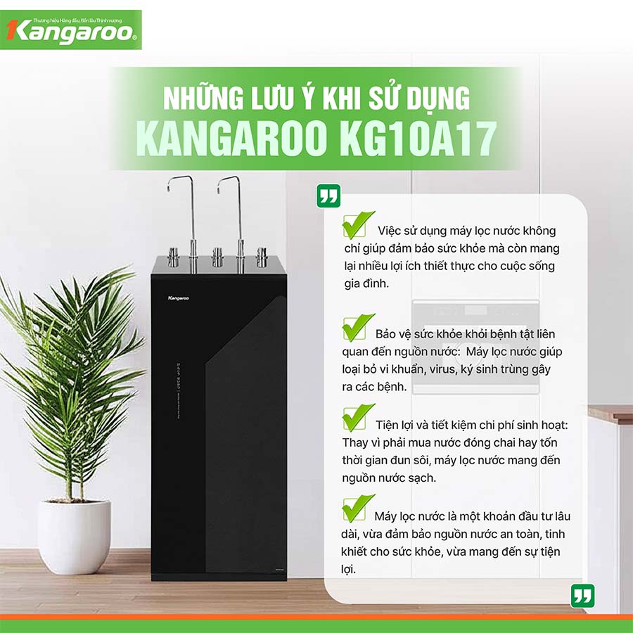 Máy lọc nước nóng lạnh Kangaroo KG10A17