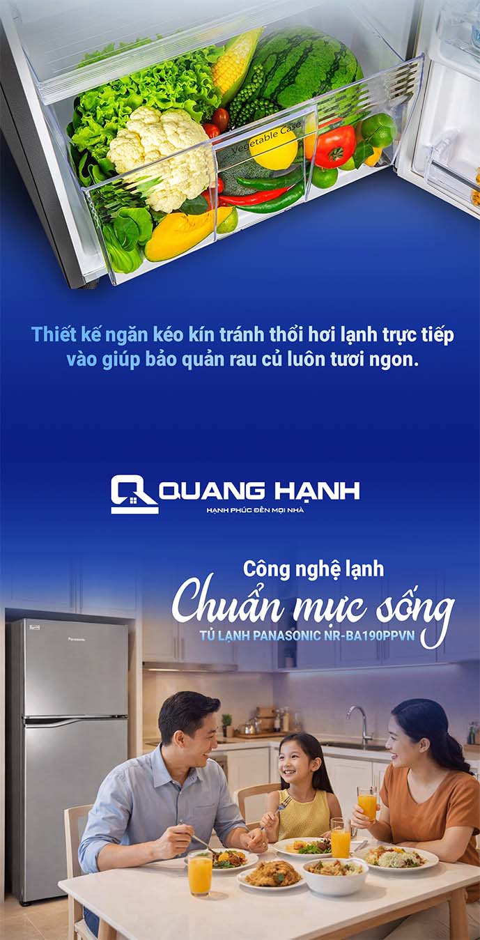Tủ lạnh Panasonic Inverter 170 lít NR-BA190PPVN QH106732 5