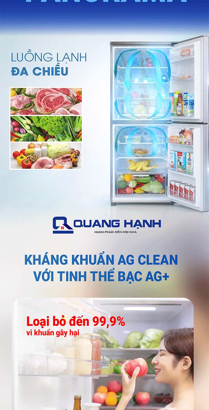 Tủ lạnh Panasonic Inverter 170 lít NR-BA190PPVN QH106732 3