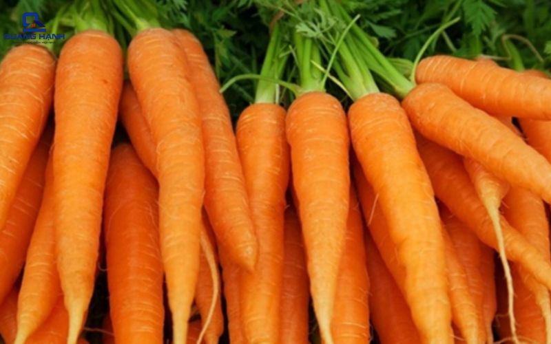 Làm nước ép cà rốt bằng máy xay sinh tố
