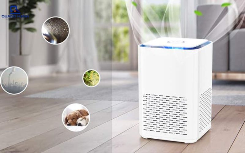 Máy hút ẩm có công dụng gì