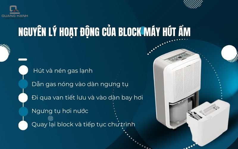 block máy hút ẩm là gì