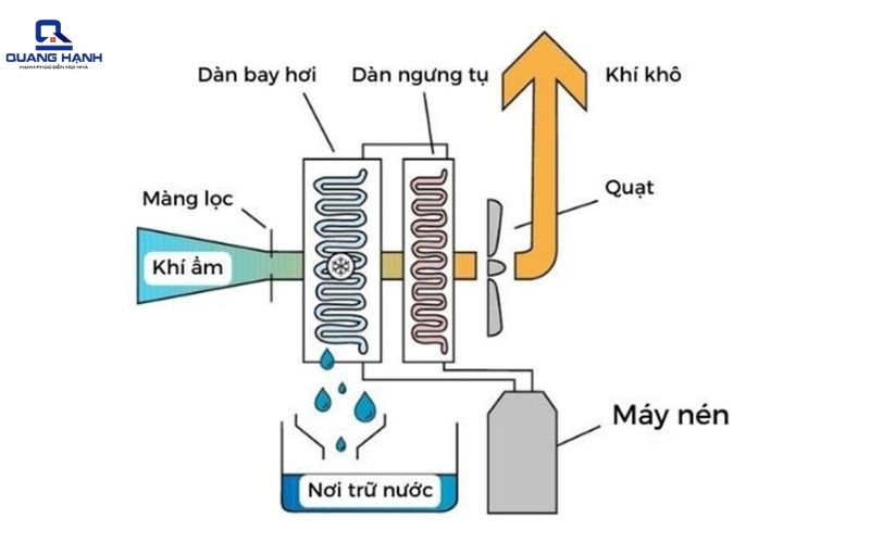 khác biệt máy hút ẩm ngưng tụ và máy hút ẩm rotor