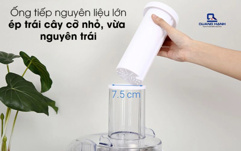 Ép được hoa quả nguyên trái hời ống tiếp nhiên liệu