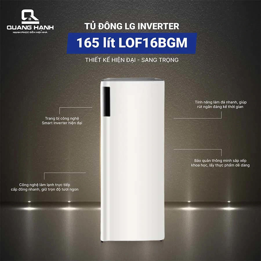 Tủ đông LG Inverter 165 lít LOF16BGM QH246033 1