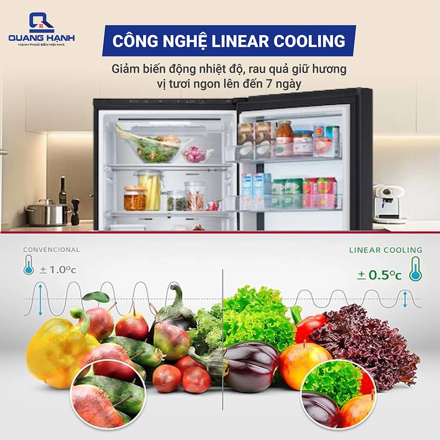 Tủ lạnh LG Inverter 340 lít InstaView LBB33BLMAI  QH246005 4