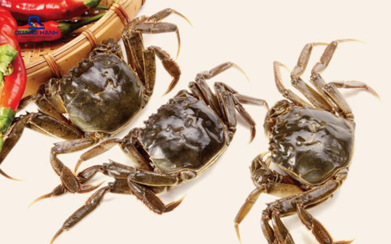 Xay cua bằng máy xay sinh tố
