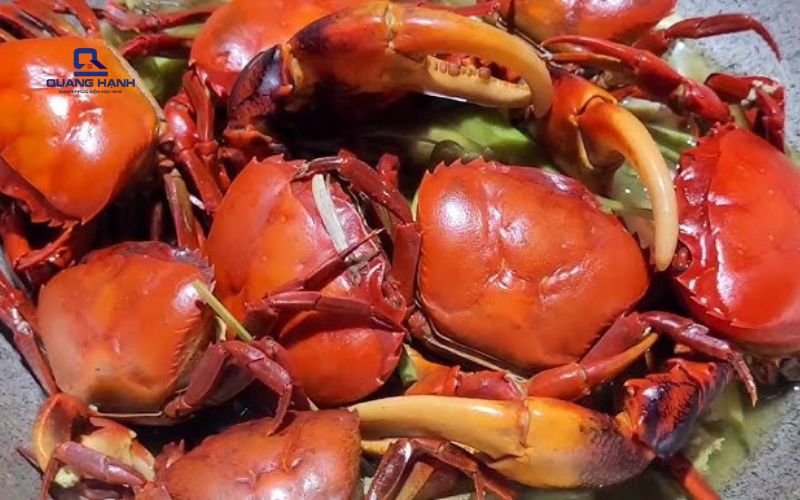 Xay cua bằng máy xay sinh tố