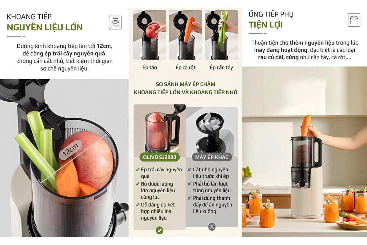Máy ép chậm Olivo SJ2000 QH243692 3