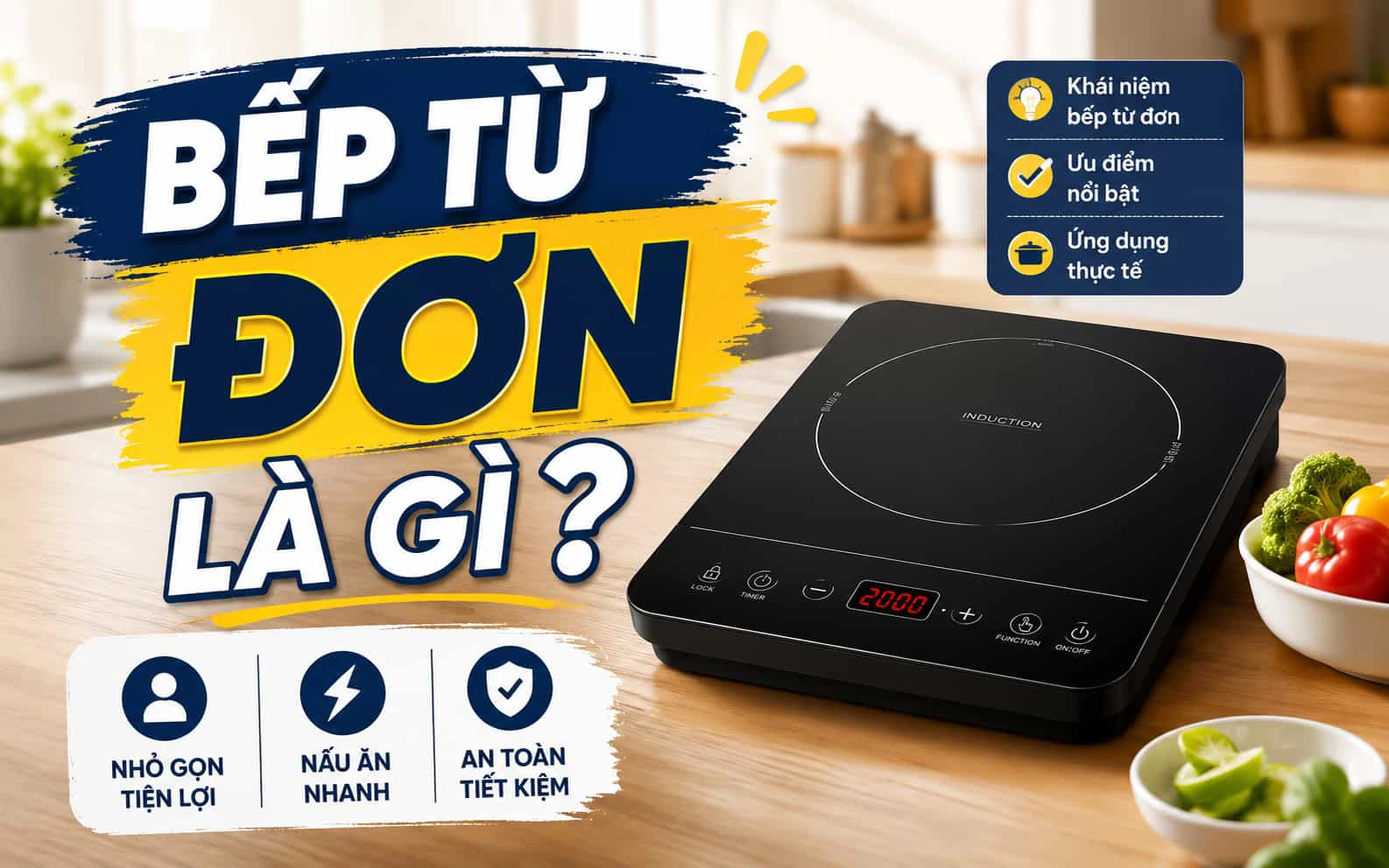 Bếp từ đơn là gì? Ưu và Nhược điểm đáng chú ý