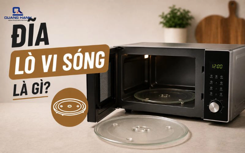 Đĩa lò vi sóng là gì? Công dụng, phân loại và cách sử dụng