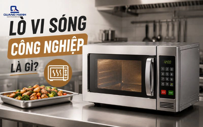 Lò vi sóng công nghiệp là gì? Đặc điểm, ứng dụng và sự khác biệt
