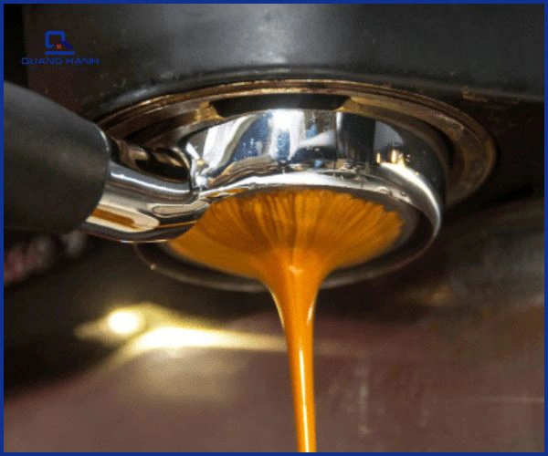 Lưới lọc máy pha cà phê là gì