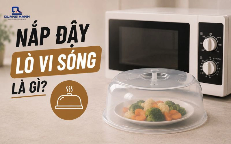 Nắp đậy lò vi sóng là gì? Có nên sử dụng và cách đậy nắp đúng