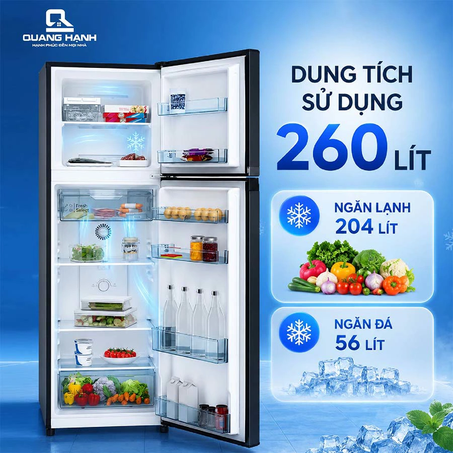 Tủ lạnh Hitachi Inverter 260 lít HRTN5275MFUVN QH244999 2