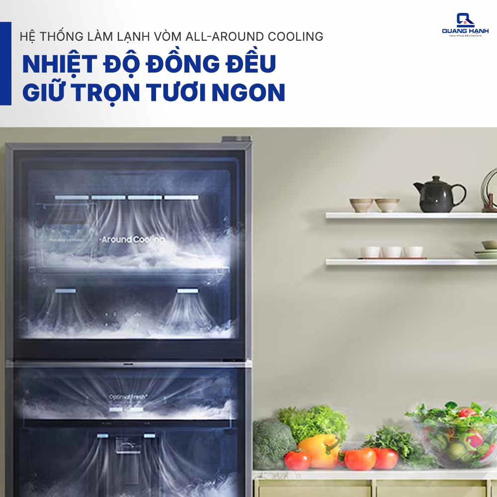 Tủ lạnh Samsung Inverter 305 lít RT31CG5424B1SV QH243132 6