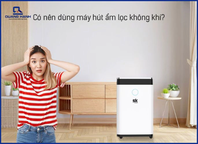 Có nên mua máy hút ẩm có chức năng lọc không khi không? 4