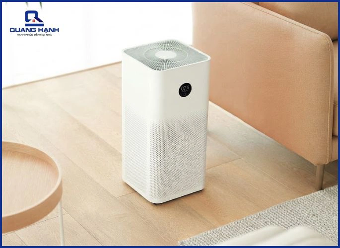 Phấn hoa và các tác nhân gây dị ứng