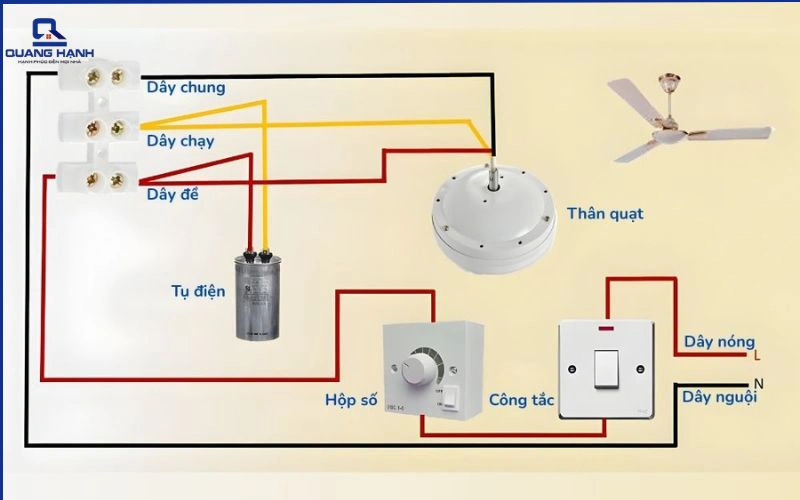 cách đấu quạt trần