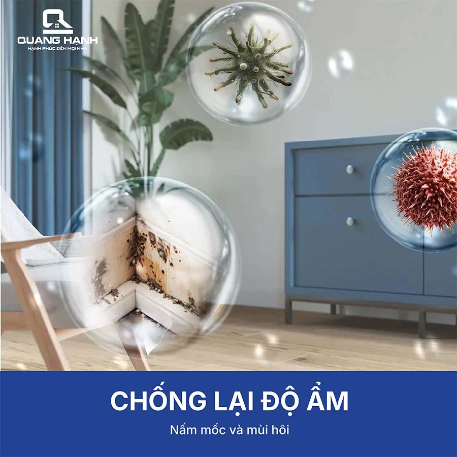 Máy hút ẩm Philips DE5305/11 hút ẩm 26.5 lít/ngày QH246778 5