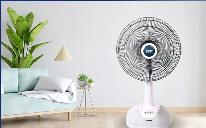 quạt benny của nước nào