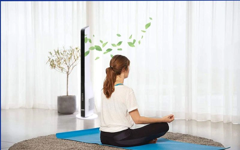 quạt benny của nước nào