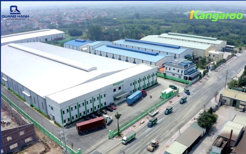 quạt kangoroo của nước nào