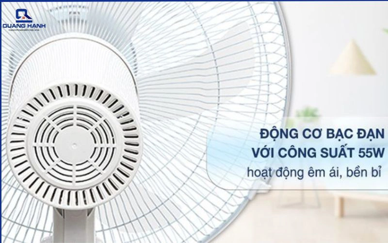 quạt kangoroo của nước nào